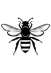 Bee | Honey Collector | Hives | Bee Farm | Sweet Nectar | Flying Insect | Bee Hives | Nectar | Original Illustration | Vector and Clipart | Cutfile and Stencil