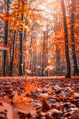 Enchanting Autumn Forest with Falling Leaves and Warm Sunlight