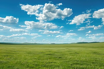 Obraz premium Grassland. Nature Field of Green Grass in Inner Mongolia, China under Blue Spring Sky