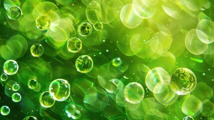 Green Circles Abstract: Bright, Fresh Eco Design Background