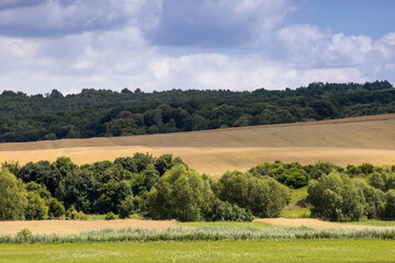 Obraz premium Landscape with field and blue sky. Agricultural crops. View. Nice nature.