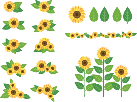 ひまわりのイラストパーツセット sunflower