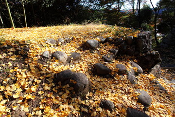 城址の土塁に積もったイチョウの落葉　