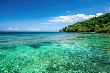 Fototapeta premium Green Ocean in West Bay Beach, Roatan, Honduras. Tropical Paradise Coastline in Central America