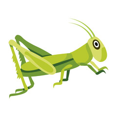 A flat icon showing cute praying bug  

