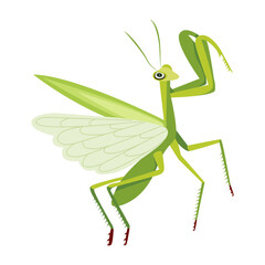 Cute green mantis icon in flat style 

