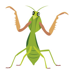A cute flat style icon of mantis

