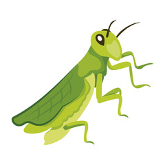 This flat icon depicting cute praying mantis

