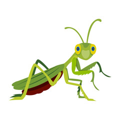 A flat icon of tree mantis 

