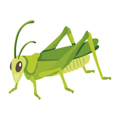 Stick insect icon designed in flat style 

