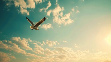 Seagull flying in the evening against a pale blue sky with white clouds