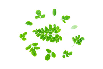 Moringa Leaves (Moringa oleifera Lam) isolated on white background, Organic vegetable, Herbal plant, Food ingredient