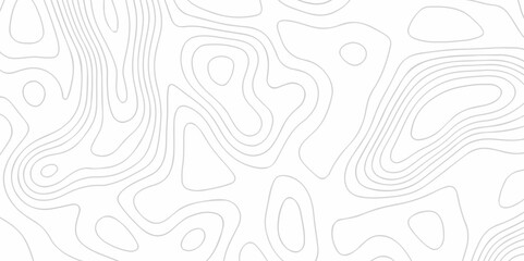 The stylize topography landscape grid map and counter wave line geometric wire outline area design. nature strip diagram topographic creative concept discovery line map texture background.