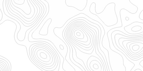 The stylize topography landscape grid map and counter wave line geometric wire outline area design. nature strip diagram topographic creative concept discovery line map texture background.