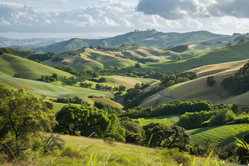 A lush green hillside with a view of the ocean