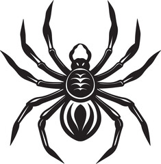  spaider white backgraound