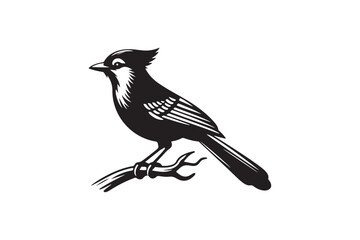 Blue jay Bird Silhouette Vector Illustration