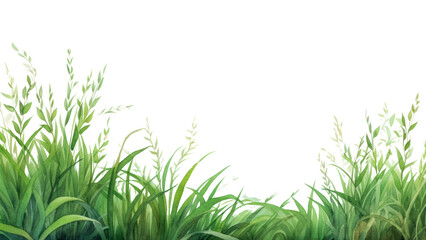 PNG Grass landscape nature backgrounds.