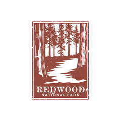 Redwood national park vector illustration in stamp style.