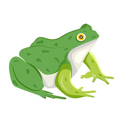 A flat style icon of a frog 

