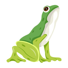 Anuran mascot icon in flat style 

