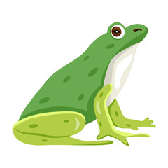 A flat vector icon of cute amphibian 

