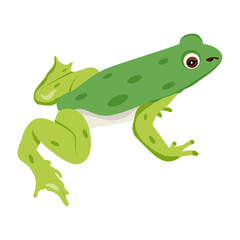 Jungle frog icon in flat style 

