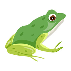 Water frog icon in flat style 

