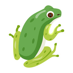 frog, toad, amphibian, anuran, creature, specie, vertebrate, cartoon, mascot, flat, vector, icon, 

