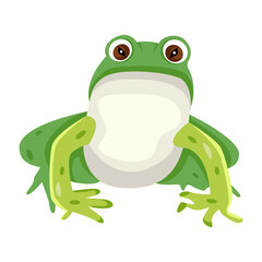 Cute toad character, flat style icon 

