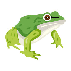 Salientia mascot icon in flat style 

