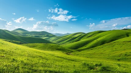 Naklejka premium Rolling Green Hills Under Blue Sky.