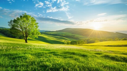 Obraz premium Green hills and a single tree at sunset.