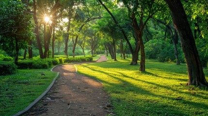 Sunlit Path through Green Forest.