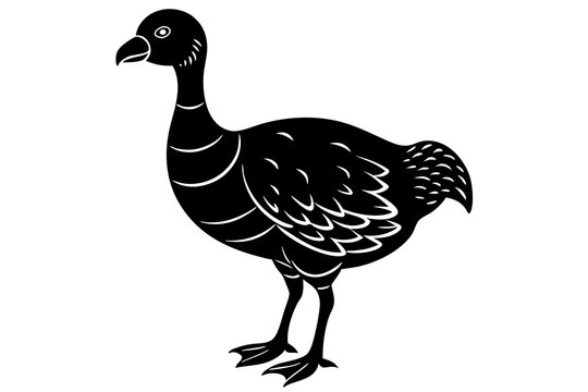 recommend clip art: Beautiful bird dodo silhouette lineocut vector art illustration