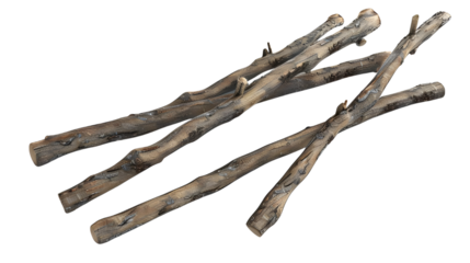 Pack of Natural tree branches for crafts and nature-themed decor Isolated on transparent background.