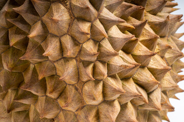 Close up Thorn of Durian The King of (Tropical) Fruits for background concept.