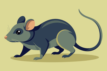  Eastern Woodrat mouse walking vector art illustration