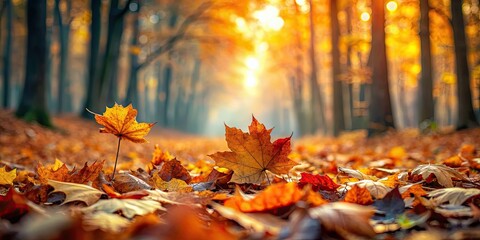 Fototapeta premium Autumn leaves scattered in forest with selective focus, fall, foliage, seasonal, nature, outdoors, woodland, colorful