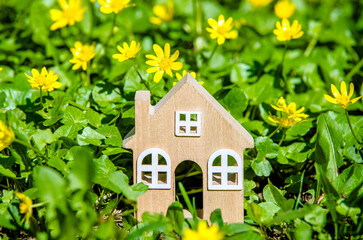 The symbol of the house stands among the yellow flowers
