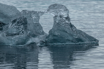 Ice Birds at Glacier Lagoon Iceland