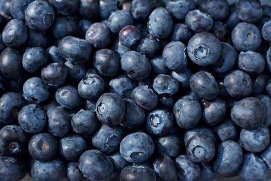 fresh blueberries from the farmers market
