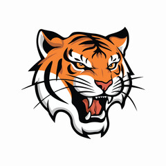 Tiger head  vector style with white background