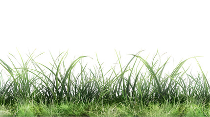 Obraz premium realistic grass isolated on transparent background,generative ai