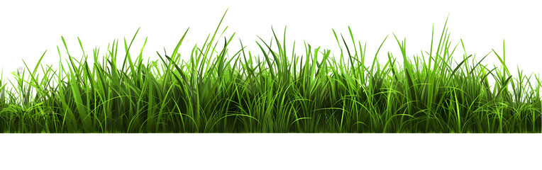 Fototapeta premium realistic grass isolated on transparent background,generative ai