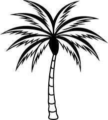 Obraz premium silhouette of a tropical palm tree