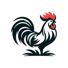 rooster isolated on white