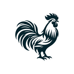 rooster isolated on white