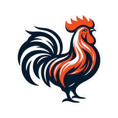 rooster isolated on white background