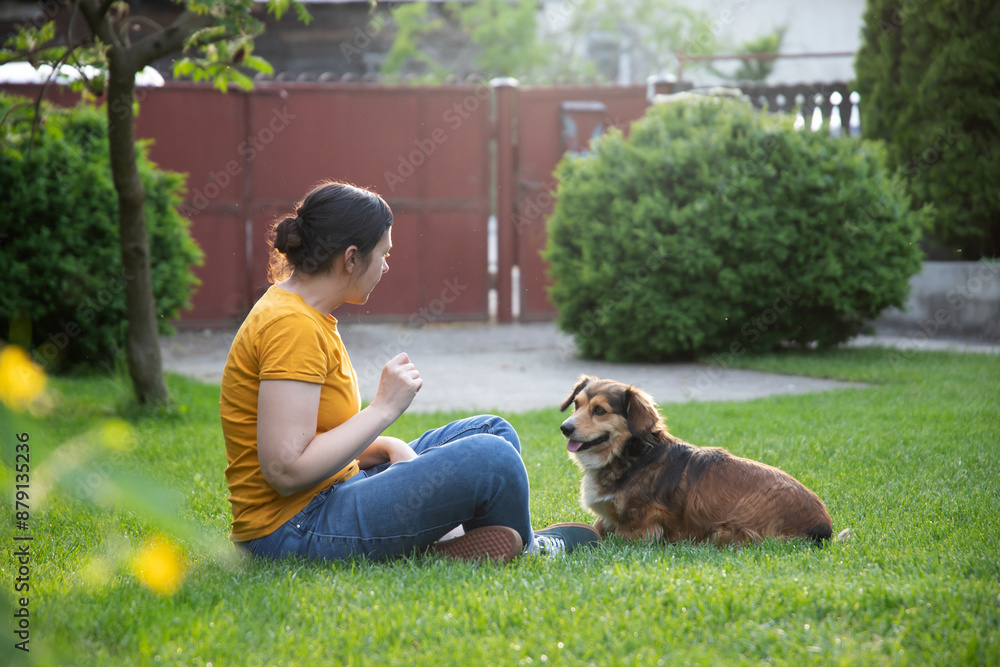 Wall mural Woman playing with her dog outdoors